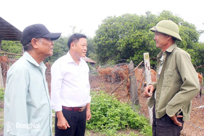 Cựu chiến binh Chu Bá Cường (phải) trao đổi về kinh nghiệm nuôi bò với lãnh đạo Hội Cựu chiến binh xã Xuân Thành và Chi hội Cựu chiến binh ấp Cây Da. Ảnh: Ðoàn Phú