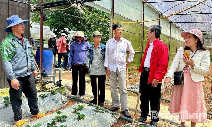 Đoàn tham quan mô hình trồng dâu, nho tại Farm Hiếu Trang.