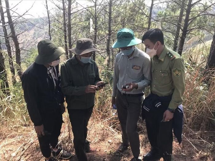 Diện tích rừng do Ban Quản lý rừng phòng hộ Gia Lai quản lý có địa hình đồi dốc, xa khu dân cư. Ảnh: N.D
