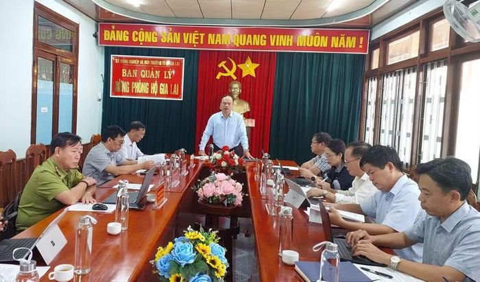 Phó Chủ tịch UBND tỉnh Dương Mah Tiệp làm việc với Ban Quản lý rừng phòng hộ Gia Lai. Ảnh: N.D