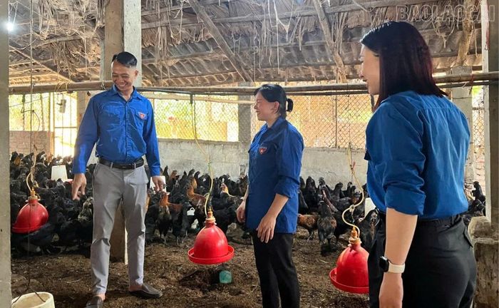 Thăm quan mô hình nuôi gà đặc sản của chị Đinh Thúy Nga.