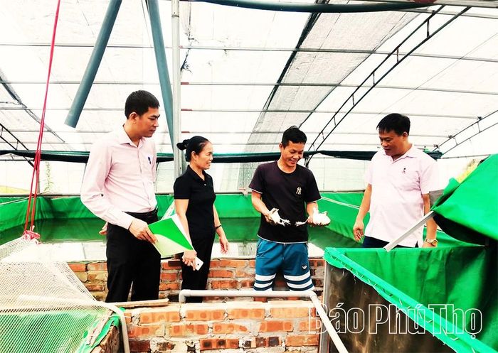 Mô hình nuôi ếch của anh Bùi Văn Đông, thôn Nội, xã Vĩnh Hưng được đầu tư từ nguồn vốn tín dụng chính sách.