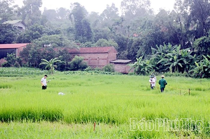 Việc đo đạc, thu thập dữ liệu đất đai đang được các địa phương triển khai quyết liệt.