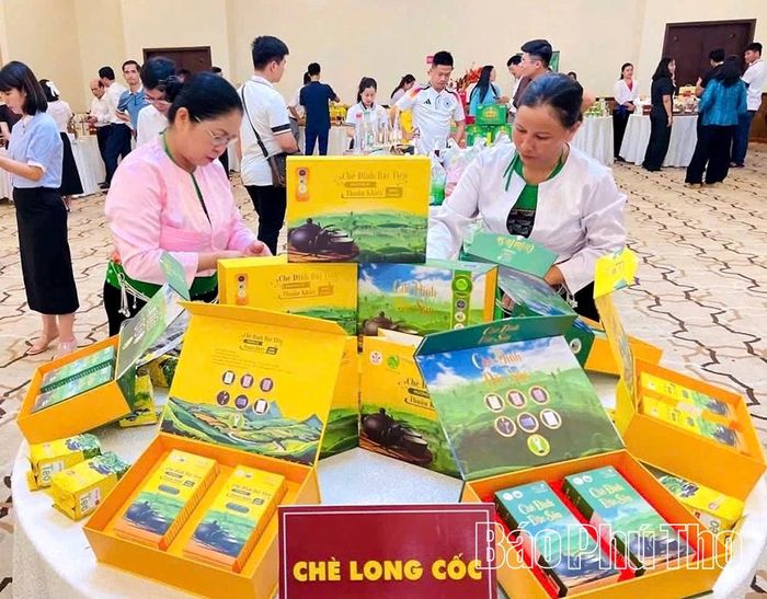 Sản phẩm chè của HTX sản xuất chè an toàn Long Cốc đã có mặt tại nhiều sự kiện hội chợ, du lịch trong tỉnh.