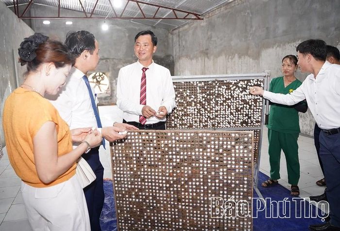 Chương trình gắn biển mô hình điểm góp phần thúc đẩy phát triển du lịch nông nghiệp gắn với gìn giữ giá trị văn hóa bản địa tại Phú Thọ.
