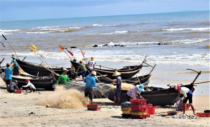 Nhiều lao động trở về quê học lại làm nghề biển - Ảnh: N.T.H