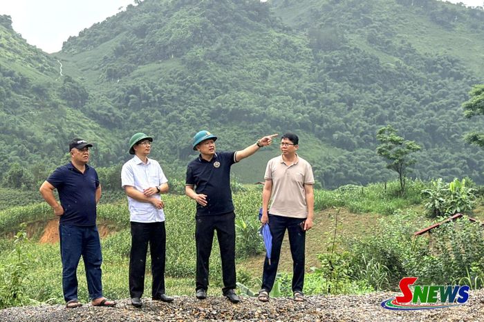 Sở Nông nghiệp và Môi trường kiểm tra khu vực Bom Bay, phường Chiềng An.