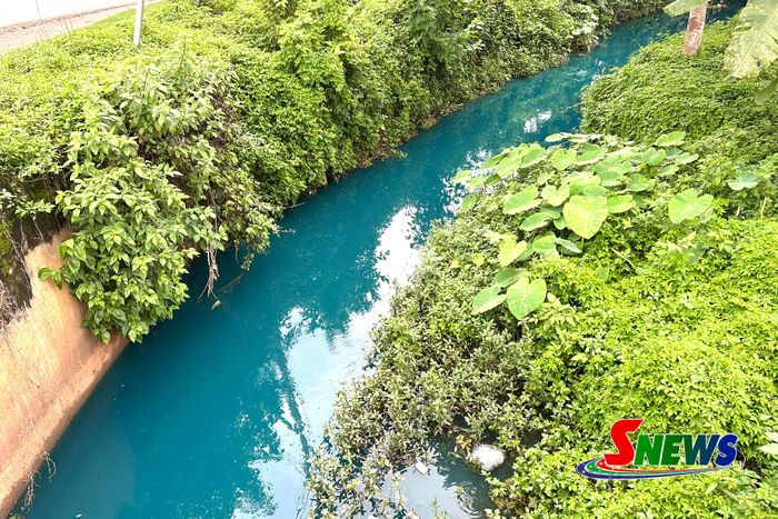 Dòng suối Bằng Bông qua địa phận bản Nà Hạ, xã Chiềng Mung chuyển màu xanh.