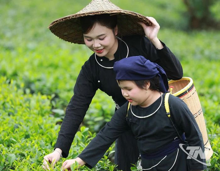 Thu Hiền cùng mẹ chụp ảnh lưu niệm trên đồi chè.