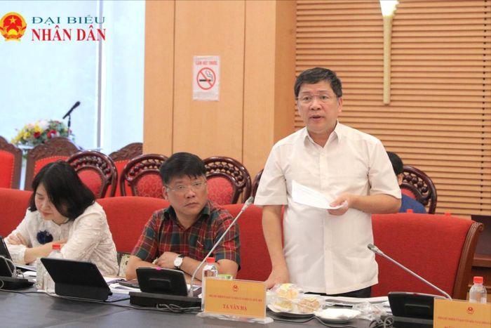 Phó Chủ nhiệm Ủy ban Văn hóa và Xã hội Tạ Văn Hạ phát biểu tại phiên họp