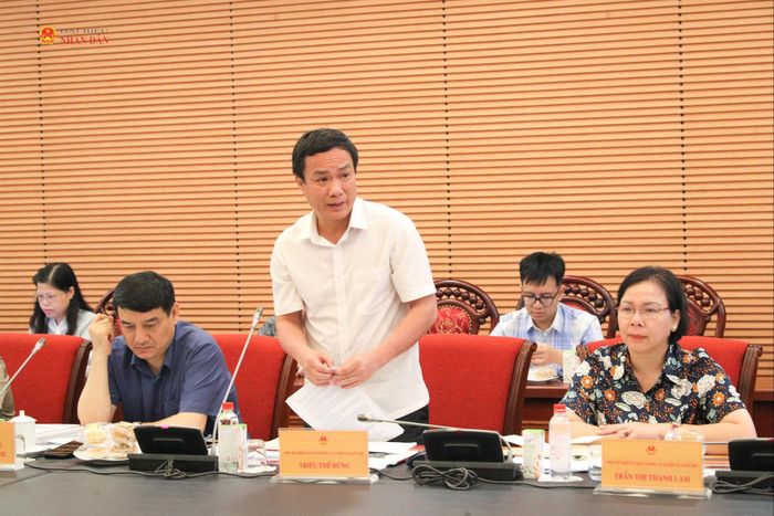 Phó Chủ nhiệm Ủy ban Văn hóa và Xã hội Triệu Thế Hùng phát biểu tại phiên họp