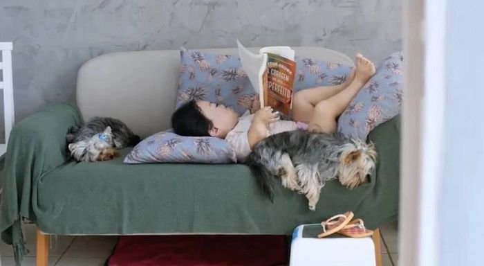 Góc ghế nhỏ nơi Hoshino nằm đọc sách trong nhà.