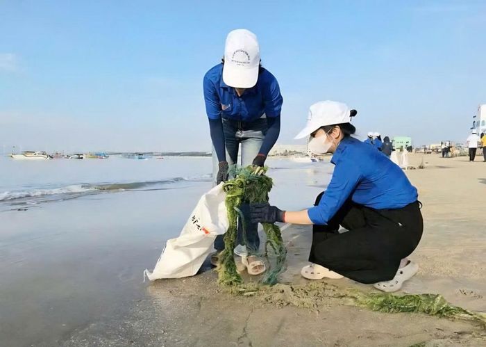  Tình nguyện viên thu gom rác thải, làm sạch bãi biển, góp phần bảo vệ môi trường biển xanh – sạch – đẹp. 