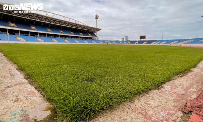 Sau hơn hai tháng kể từ ngày trồng, những ngày đầu tháng 7/2026, mặt sân đã phủ kín màu xanh. 