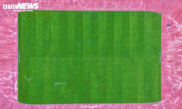 Bên cạnh đó, Zeon Zoysia còn được đánh giá cao về khả năng thích nghi với điều kiện thời tiết. Giống cỏ này chịu nhiệt tốt, đồng thời có khả năng chống chịu lạnh và sương muối hiệu quả hơn nhiều loại cỏ truyền thống, trong đó có cỏ Bermuda từng được trồng tại sân Mỹ Đình. Hệ thống rễ phát triển sâu cùng thân bò giúp mặt cỏ phục hồi nhanh sau thời gian chịu tác động từ việc thi đấu hoặc tập luyện với cường độ cao.