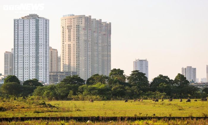 Theo chủ đầu tư, đơn vị đang tiếp tục rà soát các thủ tục pháp lý, xử lý những tồn tại kéo dài trong nhiều năm và hoàn thiện các bước chuẩn bị đầu tư. Sau khi hoàn tất thủ tục và có mặt bằng sạch, dự án sẽ được triển khai đồng bộ, với mục tiêu hoàn thành trong năm 2027.