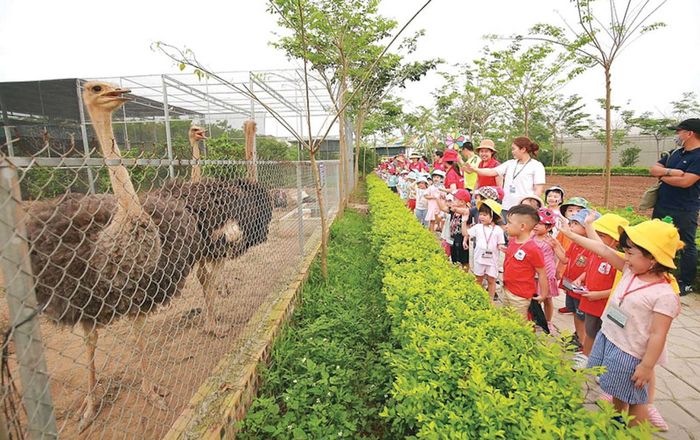 Một mô hình du lịch nông nghiệp sinh thái, trải nghiệm trên địa bàn Hà Nội. Ảnh: CTV