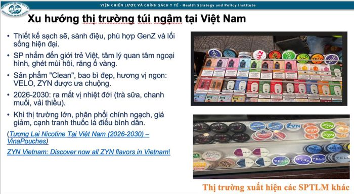 Xu hướng thị trường túi ngậm tại Việt Nam.
