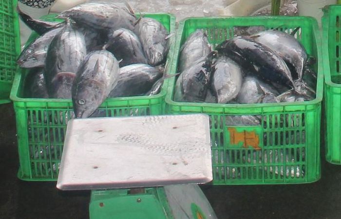Hải sản bán ở làng đảo luôn tươi ngon, người dân không nói thách giá.