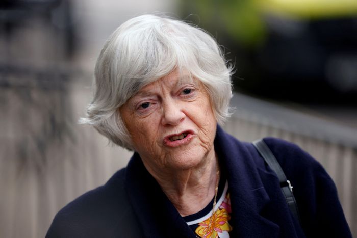 Cựu Bộ trưởng Tài chính Ann Widdecombe bị sát hại tại nhà riêng ở Haytor, hạt Devon (Anh) hôm 9/7. Ảnh: Reuters.