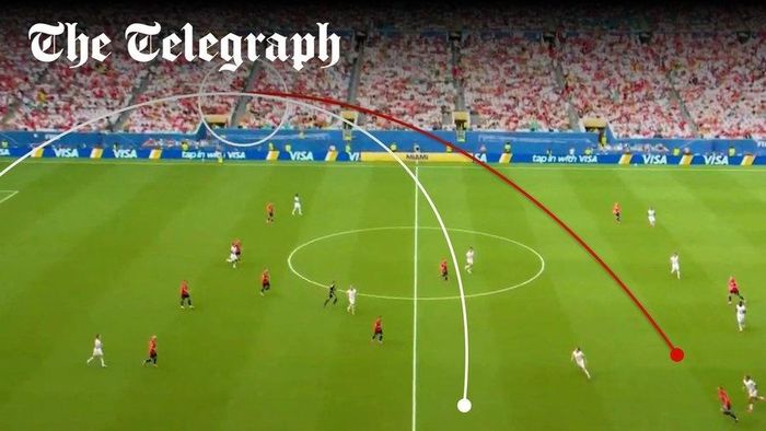  The Telegraph phân tích hình ảnh và cho rằng bóng dường như đã chạm vào spidercam. Ảnh: The Telegraph. 