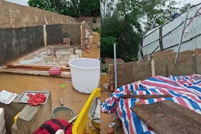  Trang trại rắn của gia đình ông Lao Feng đổ sập sau cơn lũ. Ảnh: Beijing News.