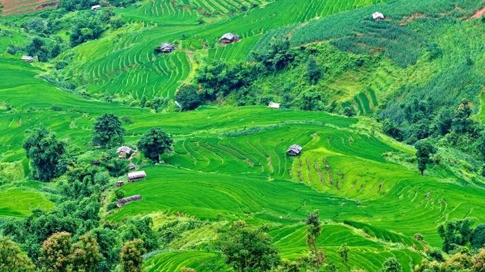 Đây là lần đầu tiên Tà Xùa được một tổ chức giải thưởng du lịch uy tín hàng đầu thế giới ghi nhận và đưa vào danh sách bình chọn chính thức cùng nhiều điểm đến nổi bật của khu vực châu Á