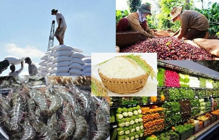 Điều Việt Nam cần hướng tới không chỉ là xuất khẩu nhiều nông sản hơn, mà là xây dựng một nền kinh tế nông nghiệp có năng lực cạnh tranh toàn cầu