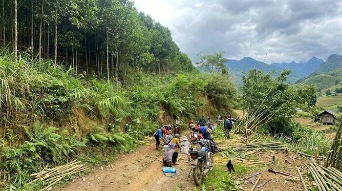 Với tinh thần đồng thuận, người dân xã Mỏ Vàng, tỉnh Lào Cai sẵn sàng hiến đất, chặt cây để mở rộng đường giao thông - Ảnh: Mỏ Vàng