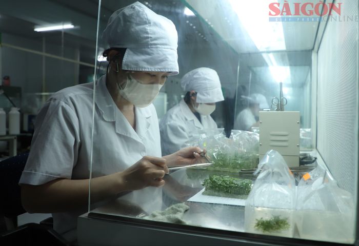  Từng công đoạn được làm tỉ mỉ, độ chính xác cao. Ảnh: ĐOÀN KIÊN 