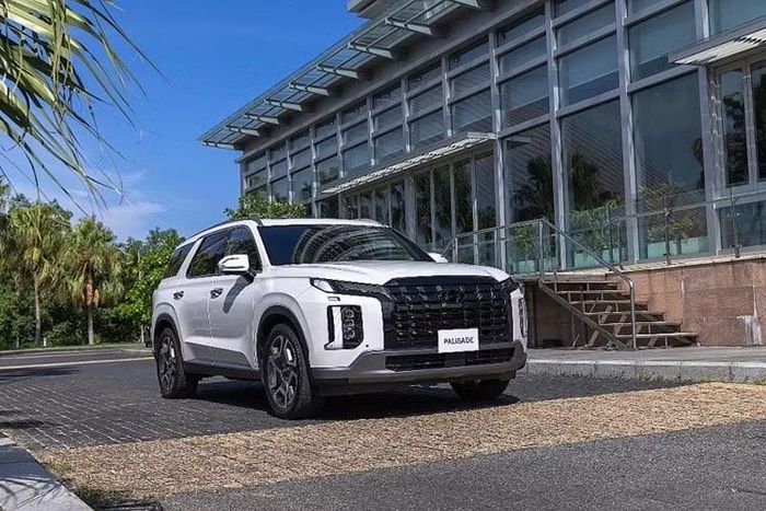 Hyundai Palisade ghi nhận 114 xe bán ra trong tháng 6.
