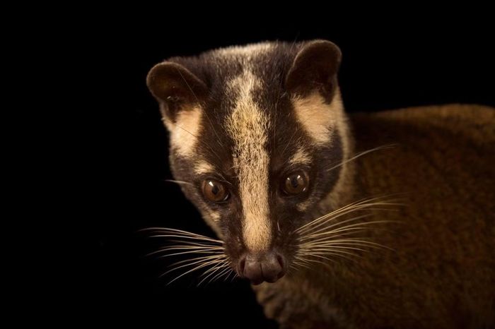 Ảnh: Joel Sartore