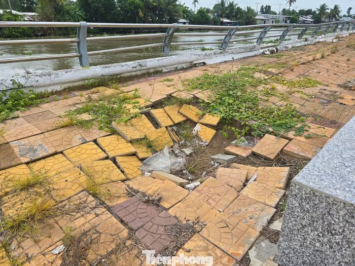 Tại đoạn qua xã Vị Thanh 1, bà Phạm Thị Oanh (ngụ ấp 3B) cũng cho biết, sà lan đậu nhiều, cột dây vào lan can làm nhiều đoạn bờ hư hỏng, một số vị trí được sửa chữa nhưng chưa triệt để, tiếp tục xuống cấp.