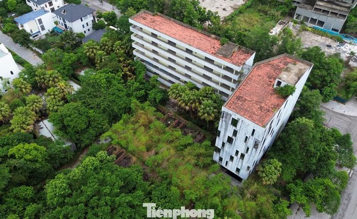 Để thực hiện dự án, Công ty Tây Đô đã ký hợp đồng tín dụng với chi nhánh Ngân hàng Phát triển Việt Nam tại Thanh Hóa vay 144 tỷ đồng, vốn đối ứng của doanh nghiệp gần 63 tỷ đồng. Theo kế hoạch, ngôi trường sẽ hoàn thành, đưa vào sử dụng cuối năm 2010.