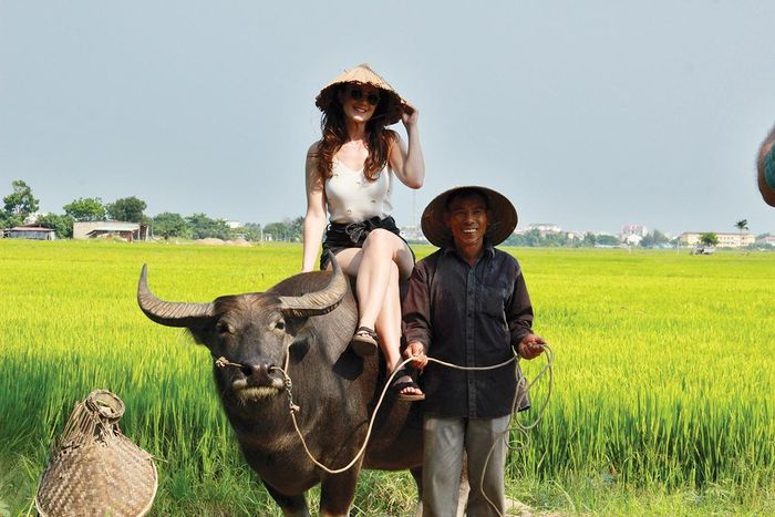 Du khách thích thú lưu lại những khoảnh khắc đáng nhớ trên lưng trâu.