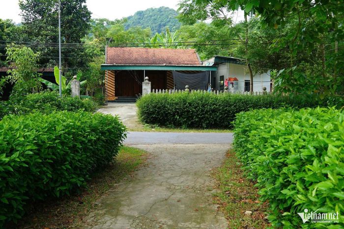 Từ vài hộ tiên phong, phong trào trồng hàng rào xanh đã lan tỏa đến nhiều hộ dân ở thôn Tân Hòa.
