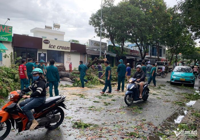 Lực lượng dân quân tự vệ xử lý cây xanh ngã đổ trên đường Điện Biên Phủ. Đến khoảng 13h cùng ngày, hiện trường cây xanh ngã đè ô tô vẫn đang được xử lý. Ảnh: Q.H