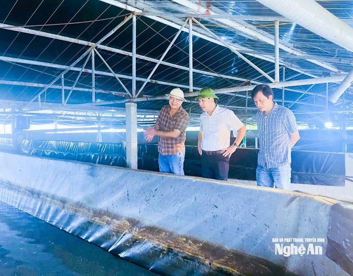 Lãnh đạo Trung tâm Khuyến nông tỉnh khảo sát mô hình nuôi tôm công nghệ cao tại xã Hải Châu. Ảnh: Mai Hoa