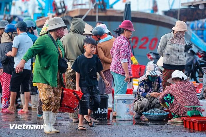 Nếu ai đó muốn cảm nhận trọn vẹn sự giàu có của biển miền Trung và sự cần cù của những người con xứ biển, cảng cá Mỹ Tân chính là điểm đến lý tưởng nhất. (Ảnh: Hoài Nam/Vietnam+)