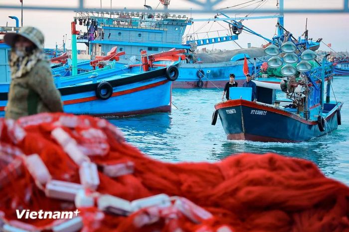 Những con tàu dập dìu nối đuôi nhau cập bờ sau chuỗi ngày dài vươn khơi bám biển. (Ảnh: Hoài Nam/Vietnam+)