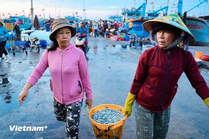 Đến cảng cá Mỹ Tân, bạn không chỉ cảm nhận được sự bình dị mà còn thấy được sức sống mãnh liệt của một làng chài ven biển. (Ảnh: Hoài Nam/Vietnam+)