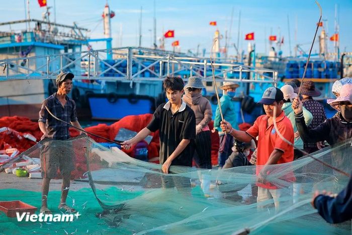 Những năm gần đây, nhờ sự quan tâm đầu tư hạ tầng, luồng lạch được nạo vét, cầu cảng được nâng cấp giúp tàu thuyền có công suất lớn ra vào neo đậu an toàn, đặc biệt là trong mùa mưa bão. (Ảnh: Hoài Nam/Vietnam+)