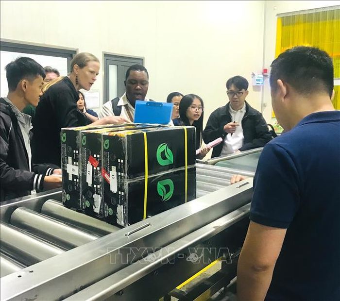 Việc vận hành công nghệ chiếu xạ X-ray sẽ giúp Nhà máy Chiếu xạ Toàn Phát tăng gấp đôi năng lực chiếu xạ trái cây tươi. Ảnh: TTXVN phát