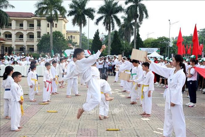 Màn biểu diễn võ thuật của các vận động viên đến từ câu lạc bộ võ Taekwondo Phủ Lý (Ninh Bình) Ảnh: Nguyễn Chinh/TTXVN