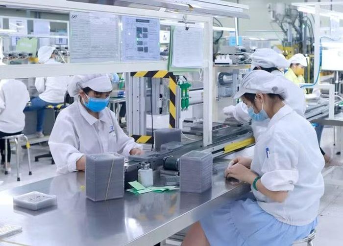 Sản xuất linh kiện điện tử tại Công ty Star Engineers Việt Nam, Khu công nghiệp Bình Xuyên I (Phú Thọ). Ảnh minh họa: Nguyễn Thảo/TTXVN