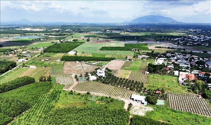 Một vùng nông nghiệp trù phú của TP Đồng Nai. Ảnh tư liệu: Hồng Đạt/TTXVN