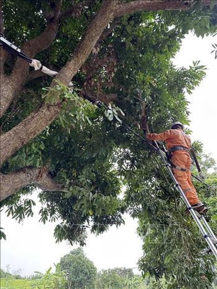 Công nhân Đội quản lý Điện lực khu vực Tứ Kỳ chặt cây, phát quang canh hành lang lưới điện trước mùa mưa bão.