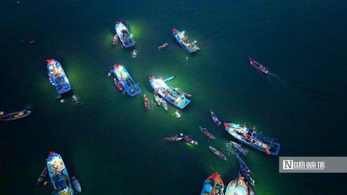 Nhờ được bán ngay sau khi cập tàu nên hải sản luôn giữ được độ tươi. Đây cũng là lý do nhiều người dân địa phương chọn đến chợ vào sáng sớm để mua hải sản.