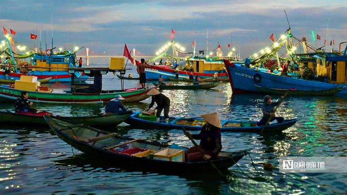 Không đợi tàu vào bến, những chiếc ghe thu mua của thương lái nhanh chóng áp sát mạn tàu để giao dịch.