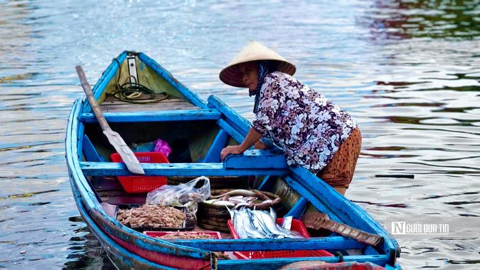 Bà Trần Thị Phương, trú xã An Phú, cho biết hầu như sáng nào có thời gian bà cũng xuống chợ vì hải sản vừa được đưa từ tàu lên, tươi và có nhiều loại để lựa chọn.